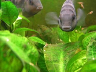 080427_008.jpg