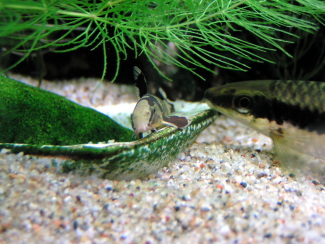 080506_002.jpg