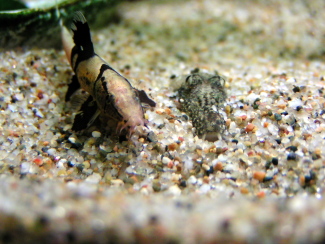 080506_003.jpg