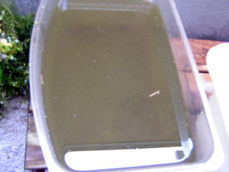 080511_000.jpg