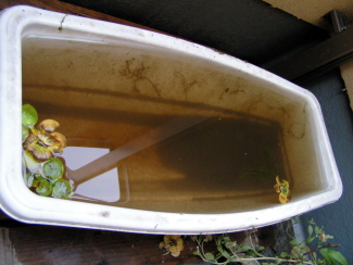 080511_001.jpg