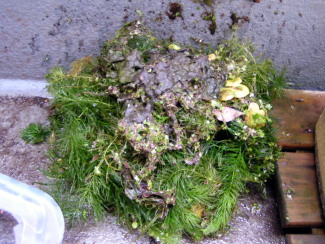 080511_002.jpg