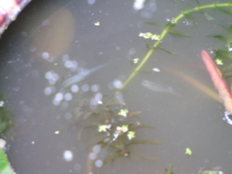080511_004.jpg