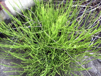 080511_007.jpg