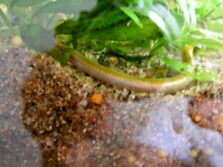 080601_002.jpg