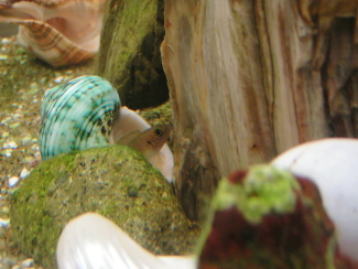 090222_009.jpg