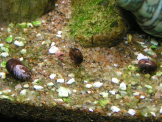 090301_003.jpg