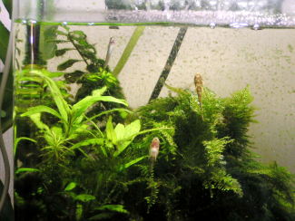 090308_000.jpg