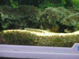 090308_001.jpg