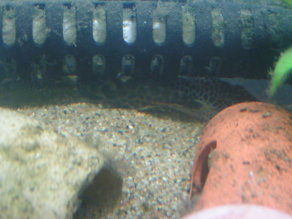 090308_003.jpg