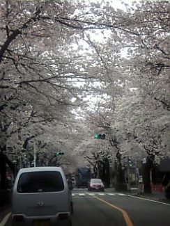 090405_000.jpg