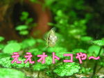 {[R0000.jpg