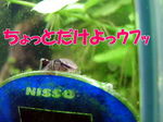 I`N0000.jpg