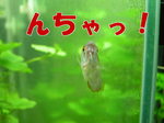 lIO~[0000.jpg