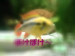 IMAG0012.jpg