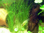 VFSH0006_edited.JPG