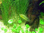 VFSH0007_edited.JPG